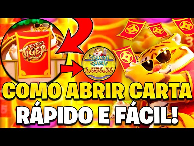 fazer bingo online imagem de tela 4