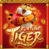 jogar tigre-Cheio de sorte ícone